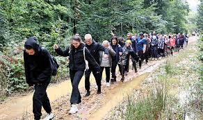 DOĞANIN EŞSİZ GÜZELLİKLERİ İÇİNDE YÜRÜYÜŞ YAPTIK
